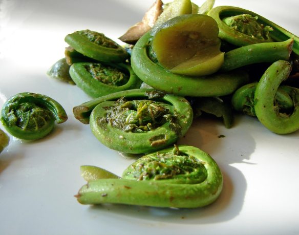 Fiddleheads