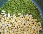 canary-beans-and-moong-dal