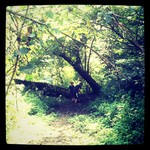 5afcc0c2e70511e1af6f22000a1c867a_5