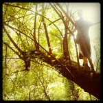 b1f23a48e70411e1840e123138141d93_5-1