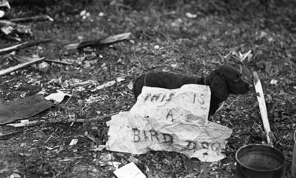 71543_10151334601669589_718453378_n