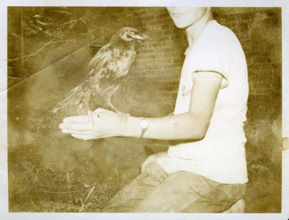 542164_10151332555934589_698510152_n