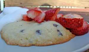 Strawberry (chocolate chip) shortcake