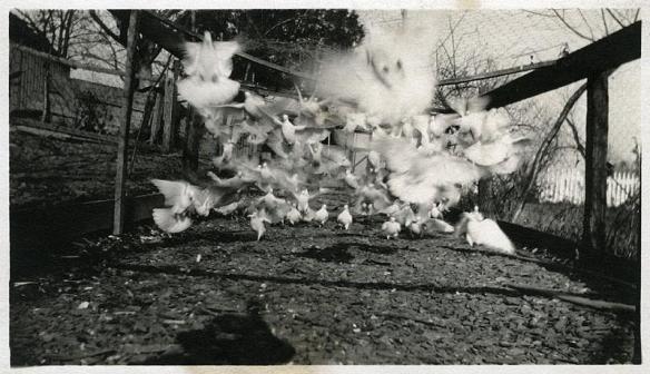 543976_10151332556239589_153656273_n