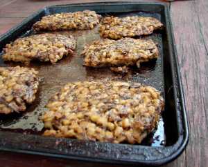 farro-croquettes-mush