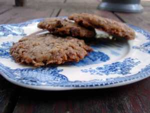 Pecan chocolate coconut cookies