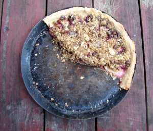 Plum, peach and cherry tart