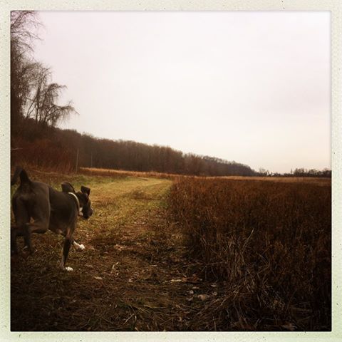 1489293_10202254409715854_533458391_n