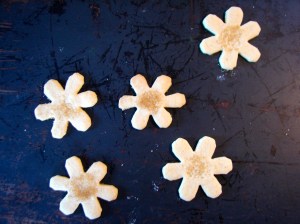sparkly sugar cookies