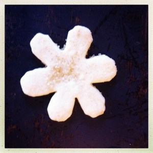 Sparkly sugar cookies