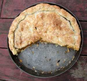 Butternut, nut and french lentil pie