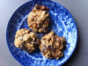 Oatmeal chocolate chip pecan praline cookies