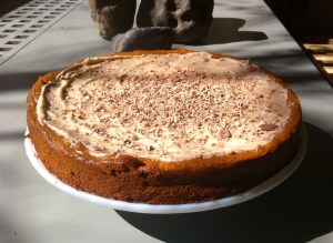 Flourless hazelnut, walnut mocha torte